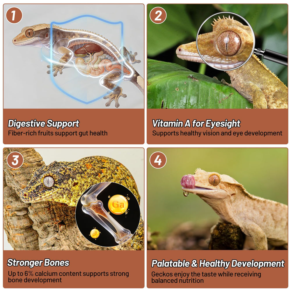 REPTIZOO FRIENDLY informations nutritionnelles affichées facilitant choix éclairé