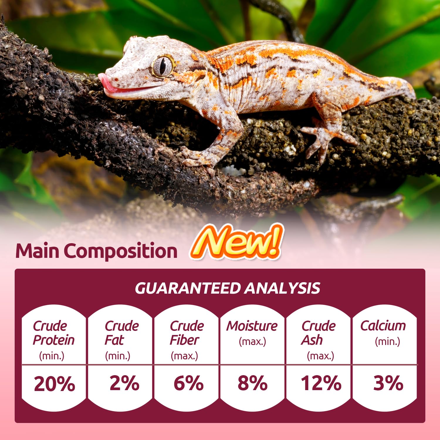 REPTIZOO FRIENDLY gros plan nutrition montre teneur en calcium élevée