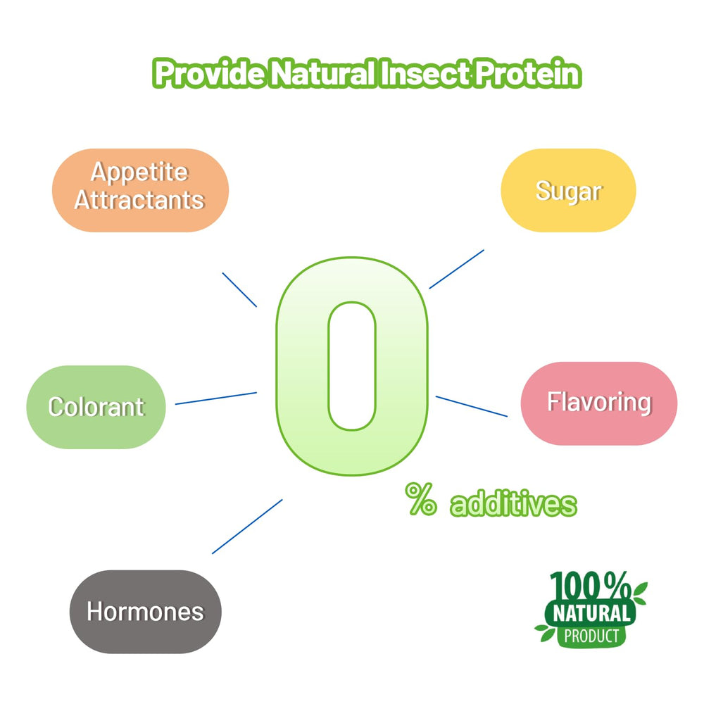 REPTIZOO FRIENDLY gecko mangeant la pâte démontrant acceptation rapide
