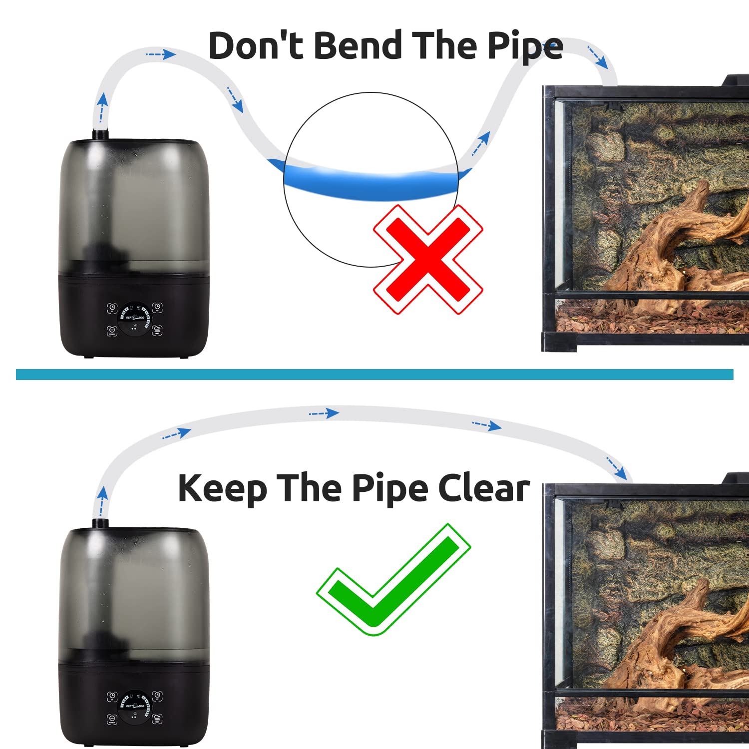 REPTIZOO ventouse fixée sur verre assurant une fixation propre et stable
