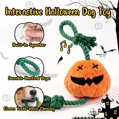 REQIHO gros plan broderie jack-o'-lantern durable et décoratif