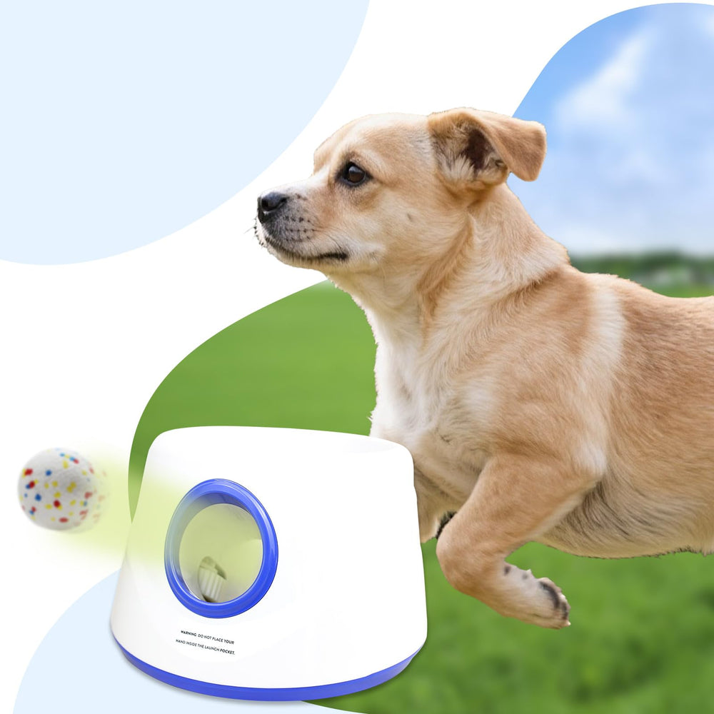 RERBIO balle en usage avec lanceur automatique garantissant compatibilité 2,3"