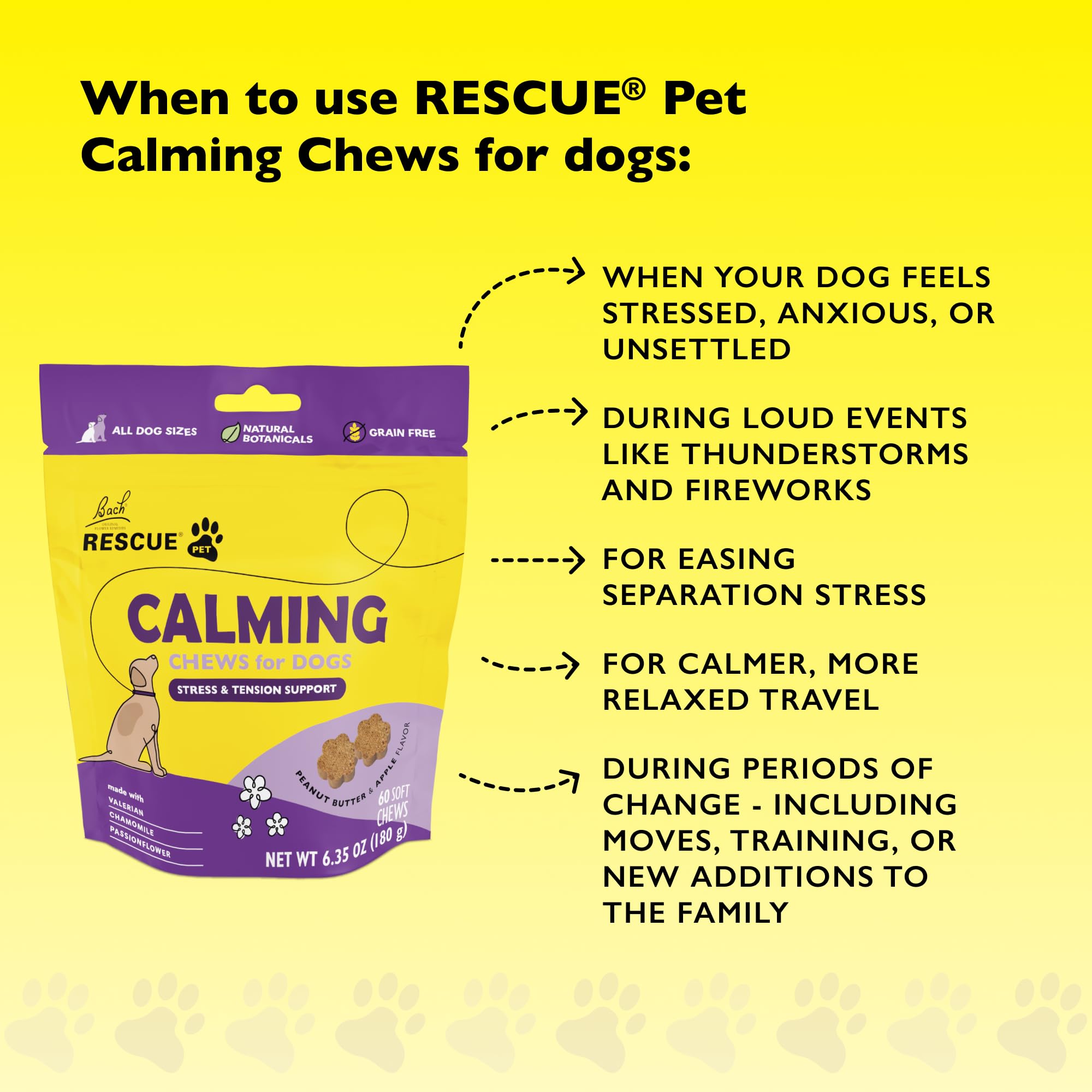 RESCUE chien mange un chew calmant, favorise la compliance et le réconfort