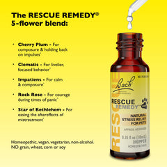 Rescue bouteille 10 mL à l'échelle indiquant la taille pratique de voyage