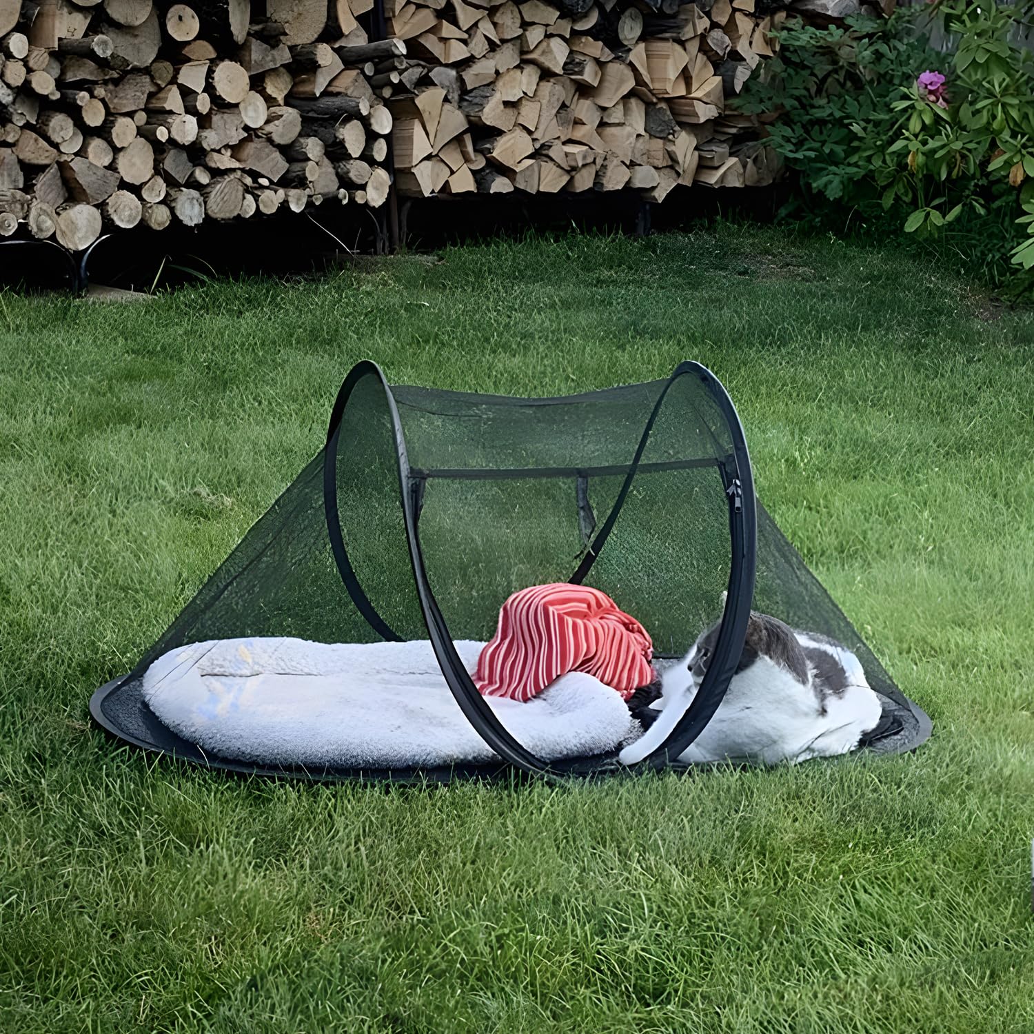 Rest-Eazzzy intérieur avec lapin montrant confort et visibilité