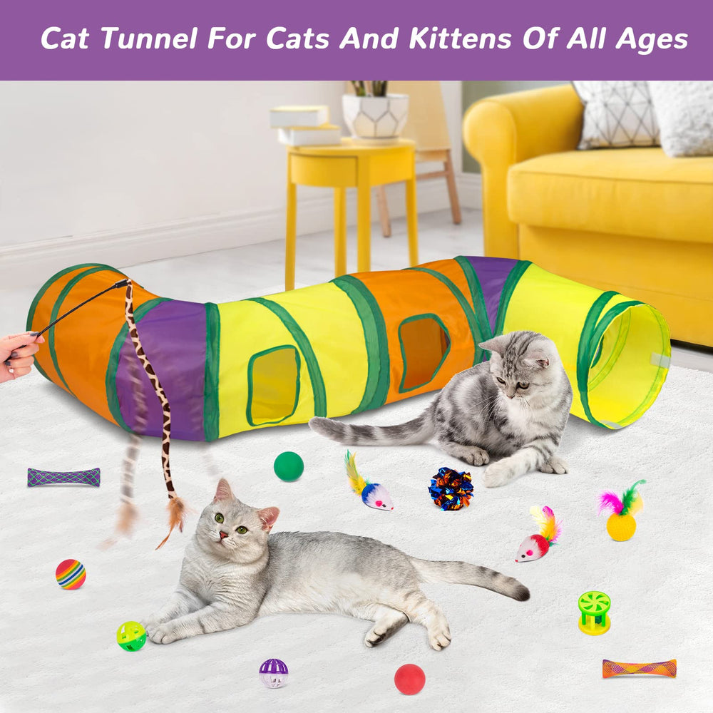 Retro Shaw tunnels en action avec chat favorisant l'exercice