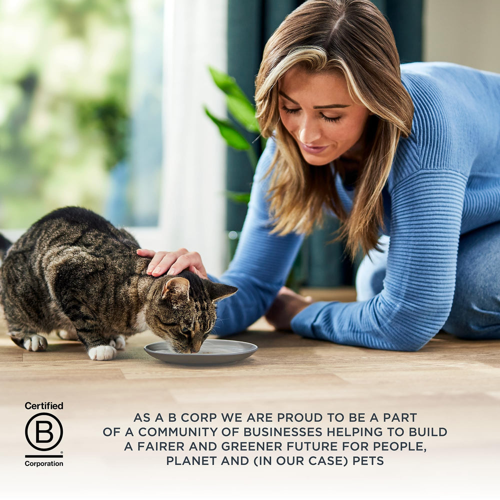 Reveal chat dégustant pâté en cuisine mettant en avant appétence