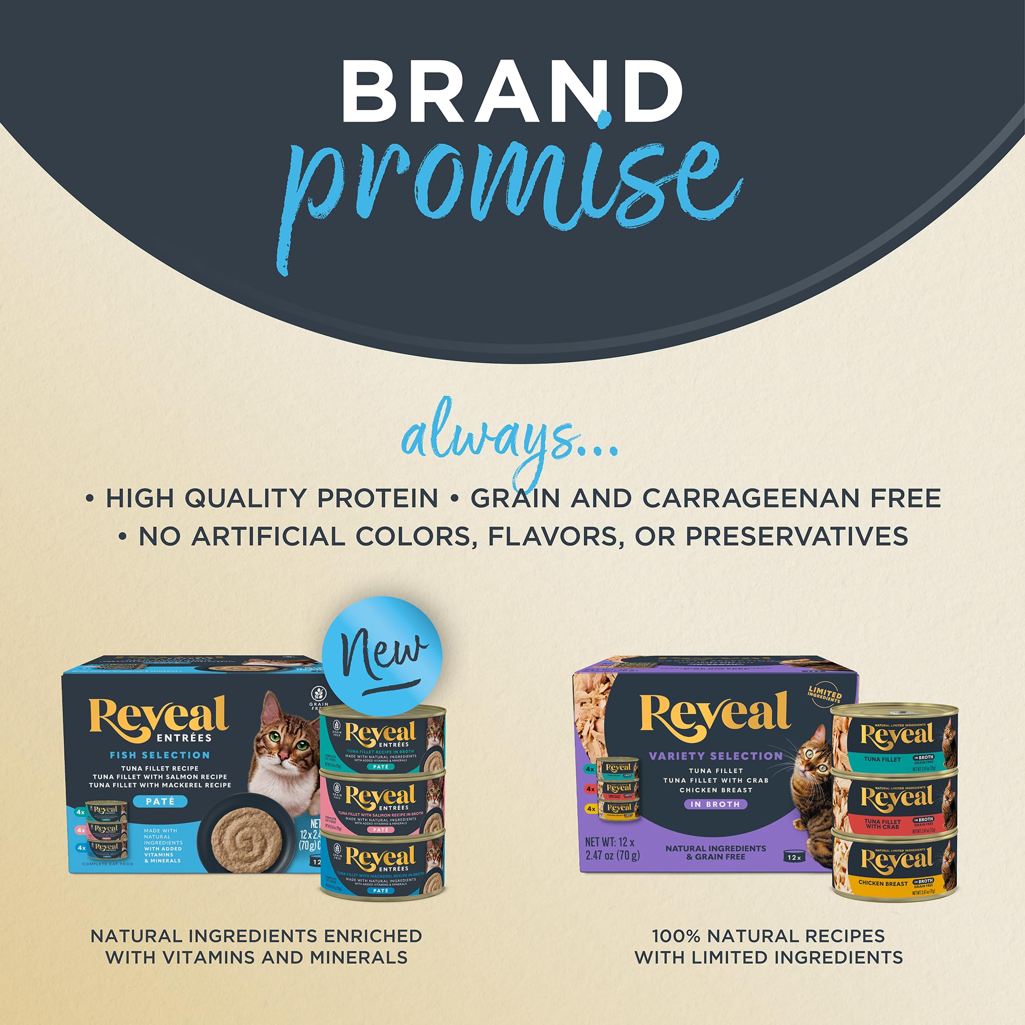 Reveal pack de 12 boîtes présentation économique et stockage pratique