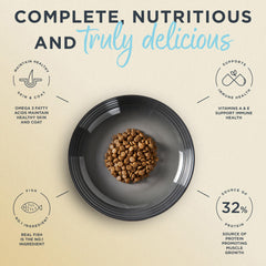 Reveal nourriture servie dans un bol, appétence et portion pratique