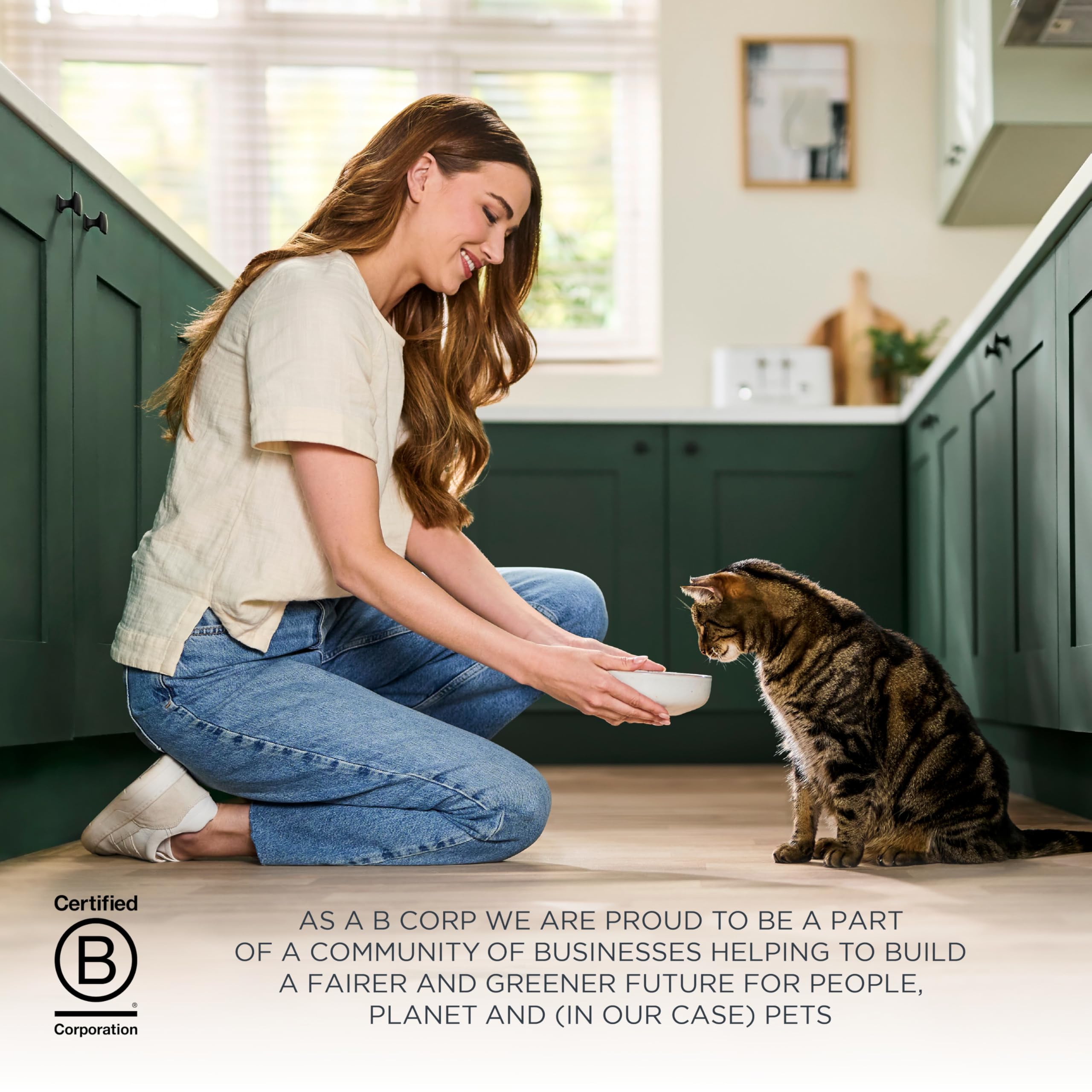 Reveal chat mangeant la recette Whitefish, pelage plus brillant visible