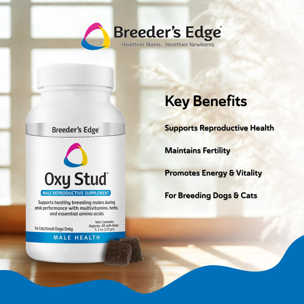 Revival Animal Health soft chew posé à côté d'une règle montrant dosage pratique