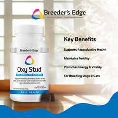 Revival Animal Health soft chew posé à côté d'une règle montrant dosage pratique