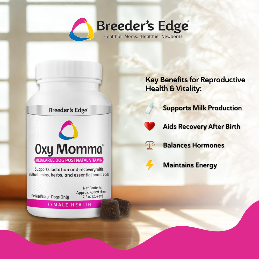 Revival Animal Health friandise Oxy Momma dans une main pour administration simple