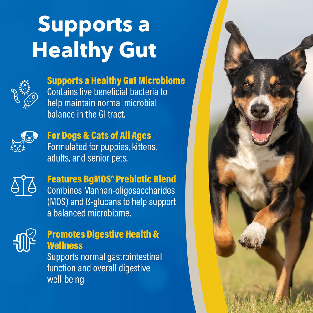 Revival Animal Health gros plan sur granules Doc Roy's montrant texture et facilité d'absorption
