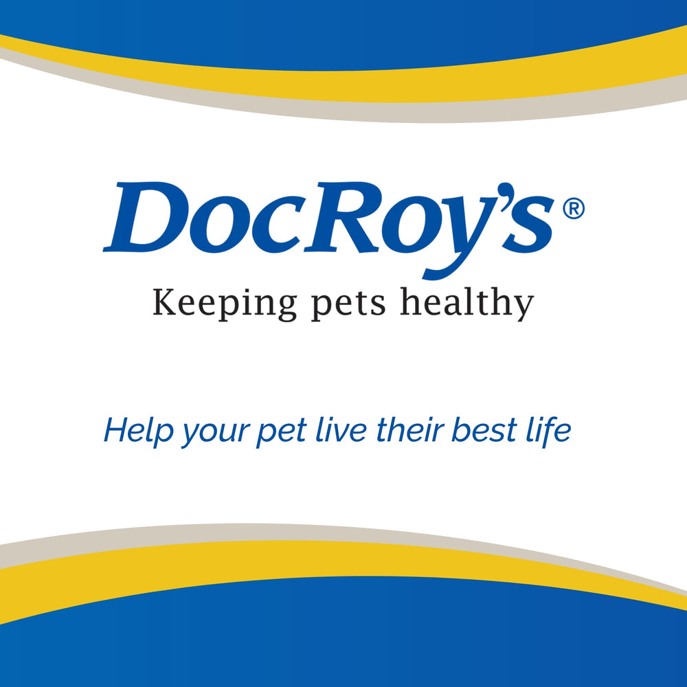 Revival Animal Health Doc Roy's usage en cuisine avec chiot heureux montrant soutien nutritionnel
