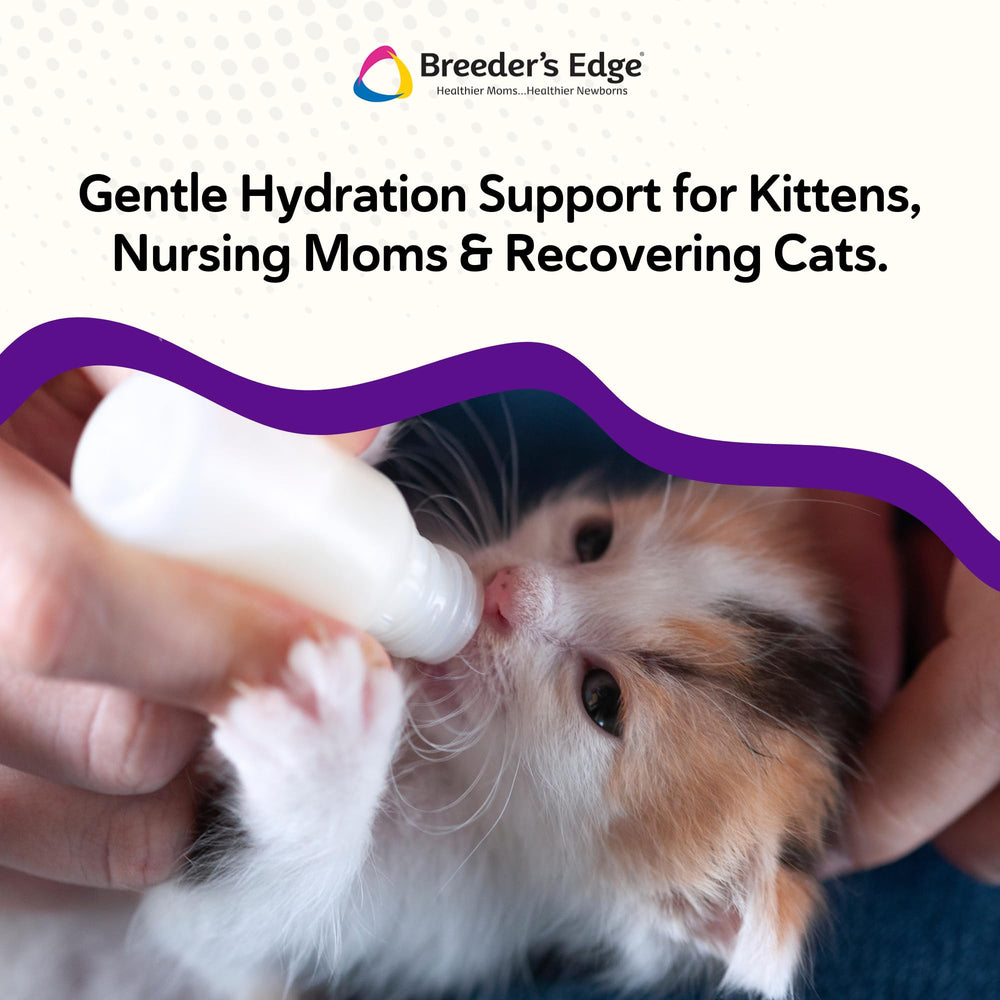 Revival Animal Health cuillère-doseuse montrant dosage précis