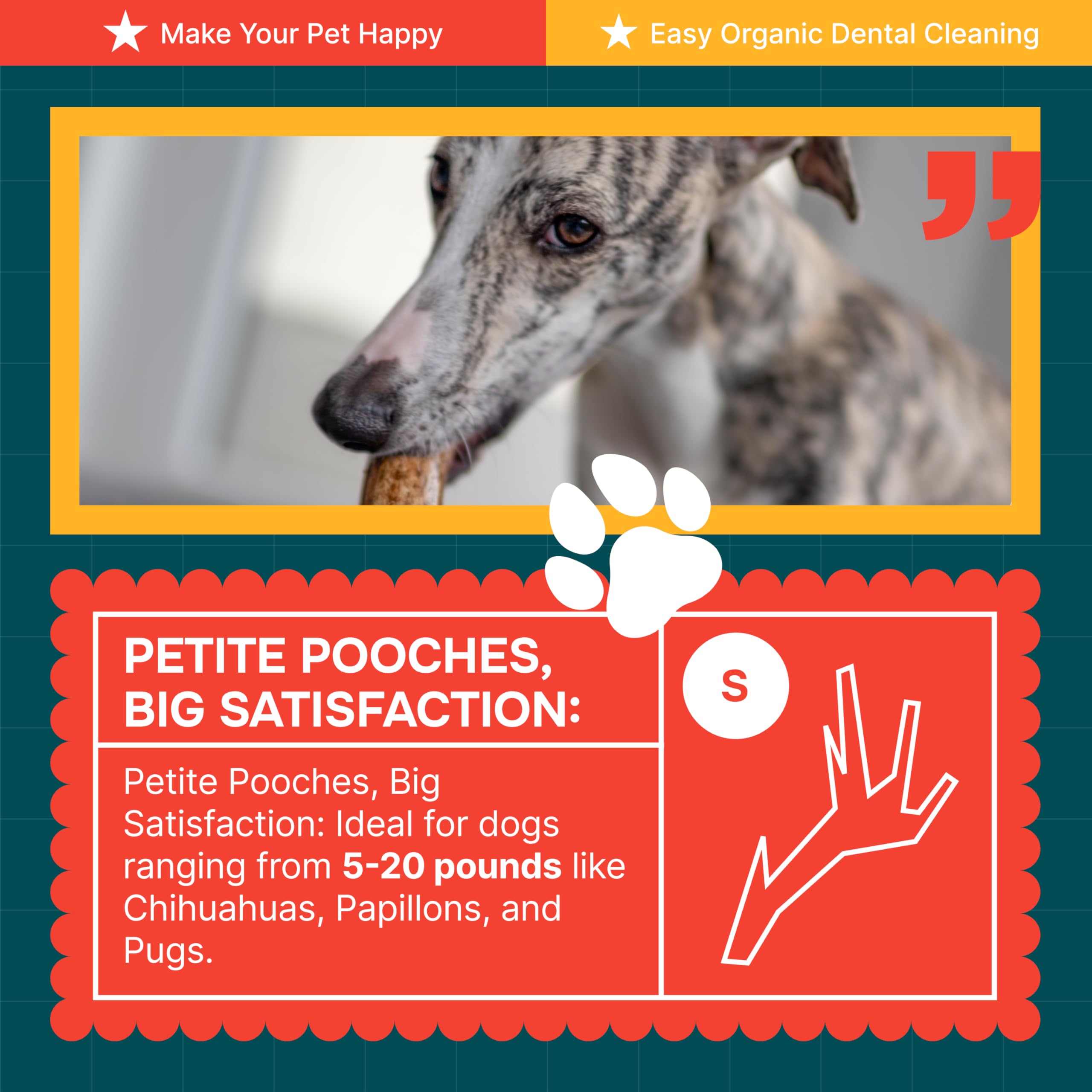 REXIPETS emballage estampillé USA garantissant traçabilité