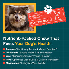 REXIPETS gros plan texture du bois de wapiti bénéfice longue durée