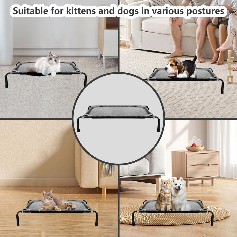 Rexwnadu comparaison taille montre dimensions adaptées aux petits chats