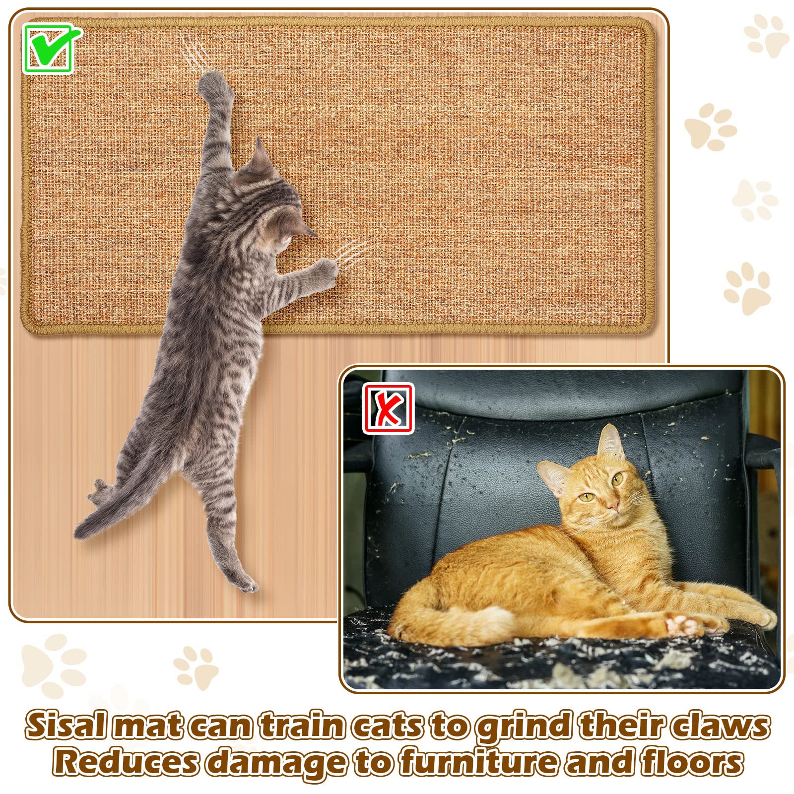 Riakrum chat griffe activement montrant attractivité et durabilité du tapis