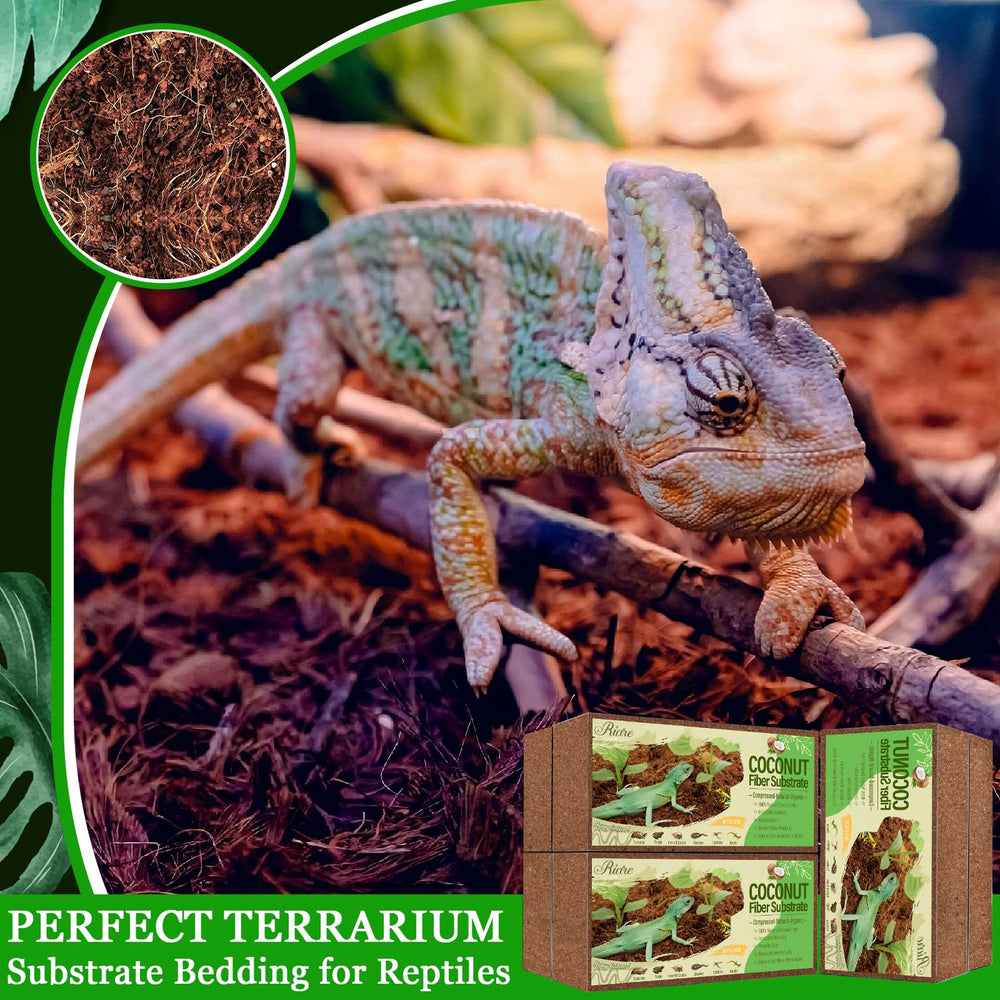 Riare bac de terrarium avec substrat montrant confort animal