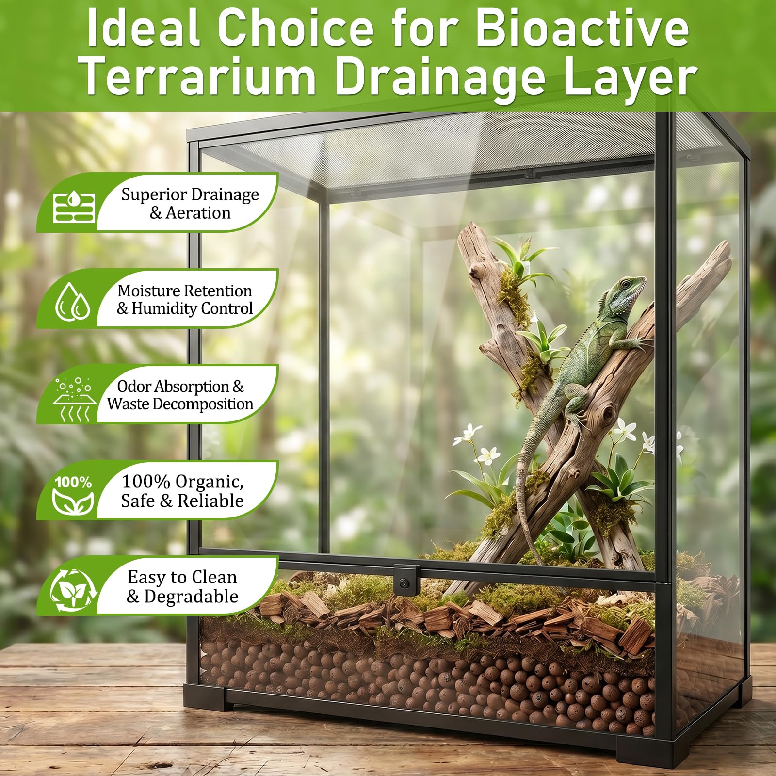 Riare billes d'argile installées dans un terrarium facilitant drainage et racines saines