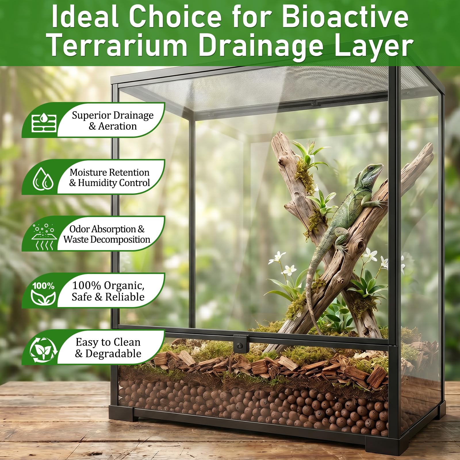 Riare billes en fausse couche dans terrarium améliorant drainage