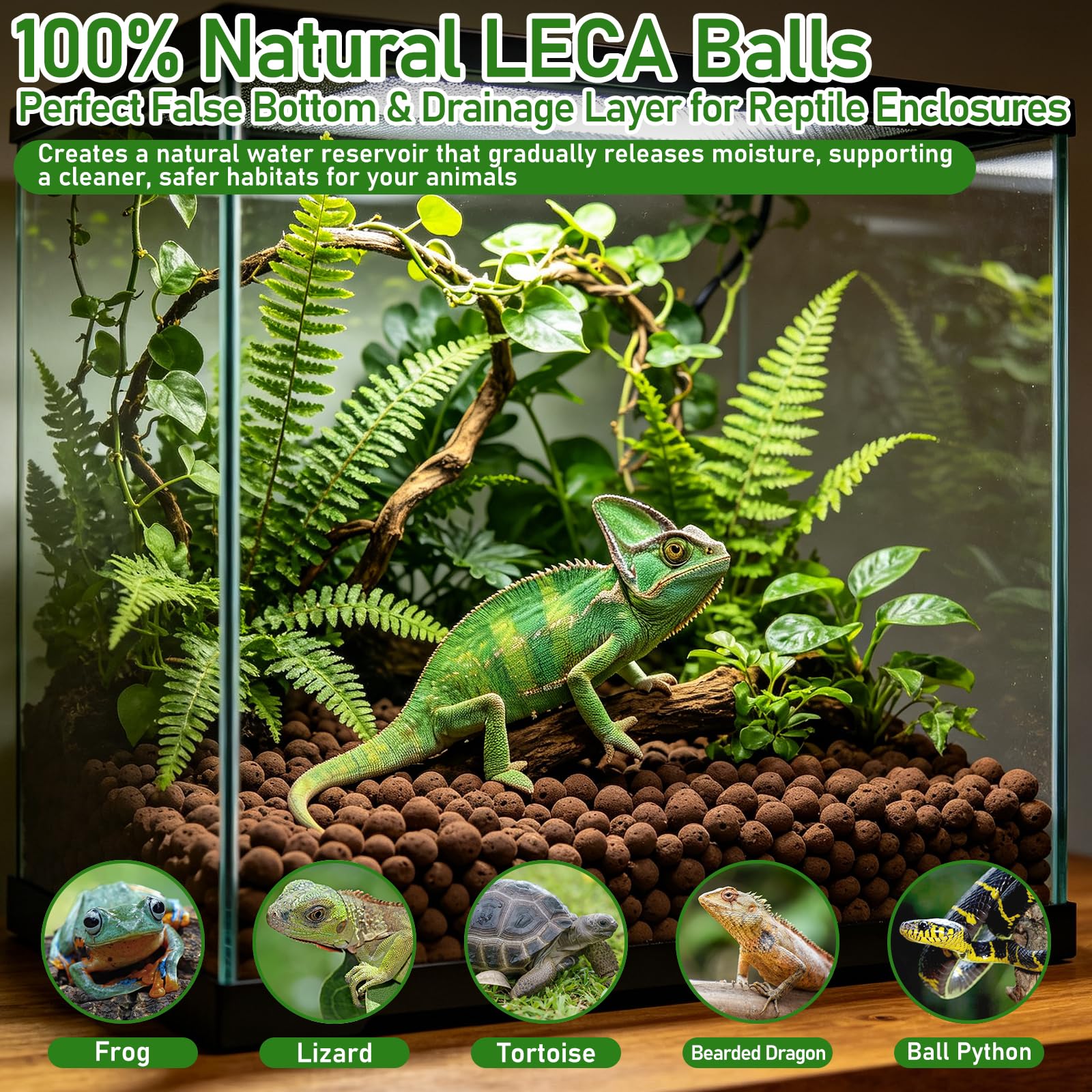 Riare billes soutenant racines de plante, favorise croissance