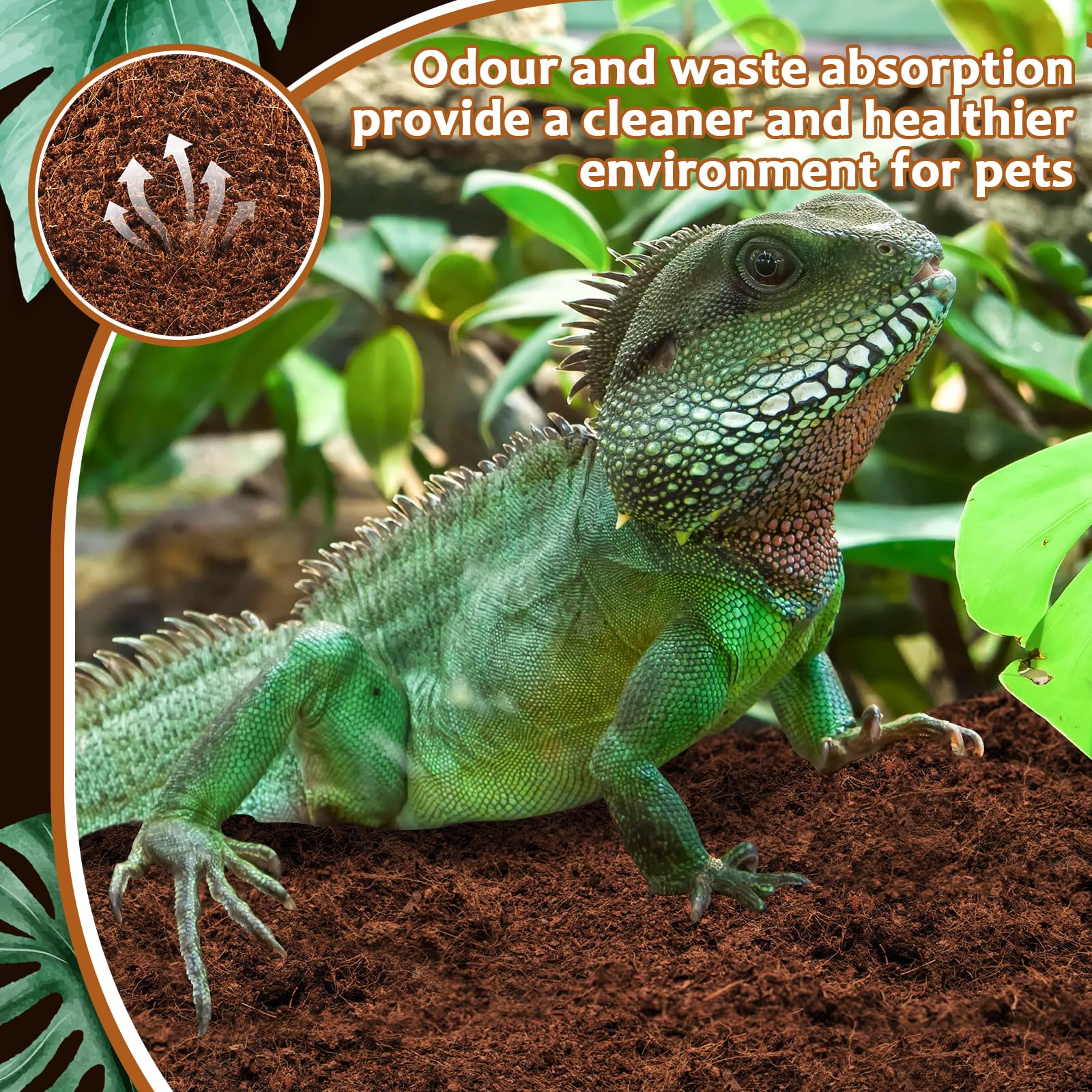 Riare fibre de coco utilisée comme compost au jardin, réutilisation écologique