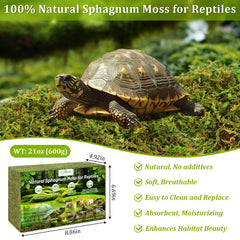 Riare mousse sphagnum après trempage, expansion et volume utile
