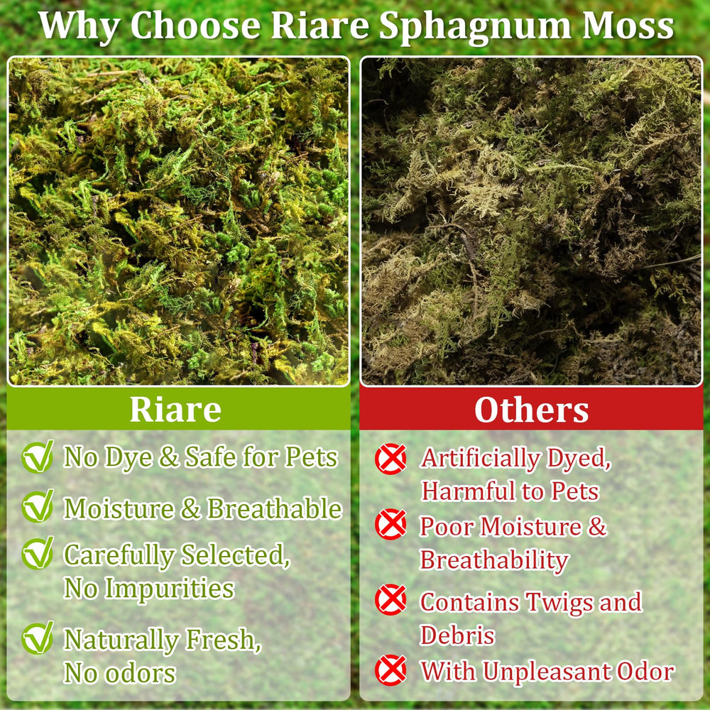 Riare sphaigne utilisée dans terrarium, maintien d'humidité optimal