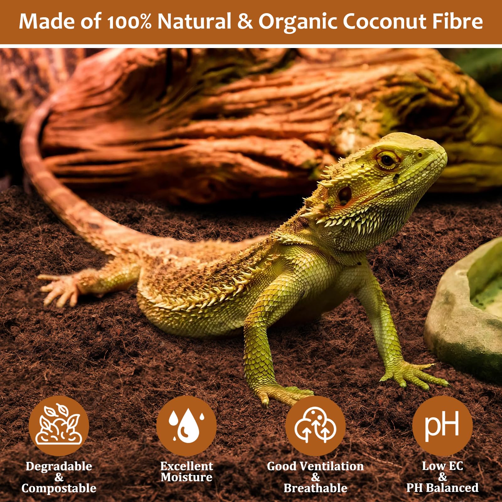 Riare texture de la fibre de coco gonflée après trempage, offre une litière aérée