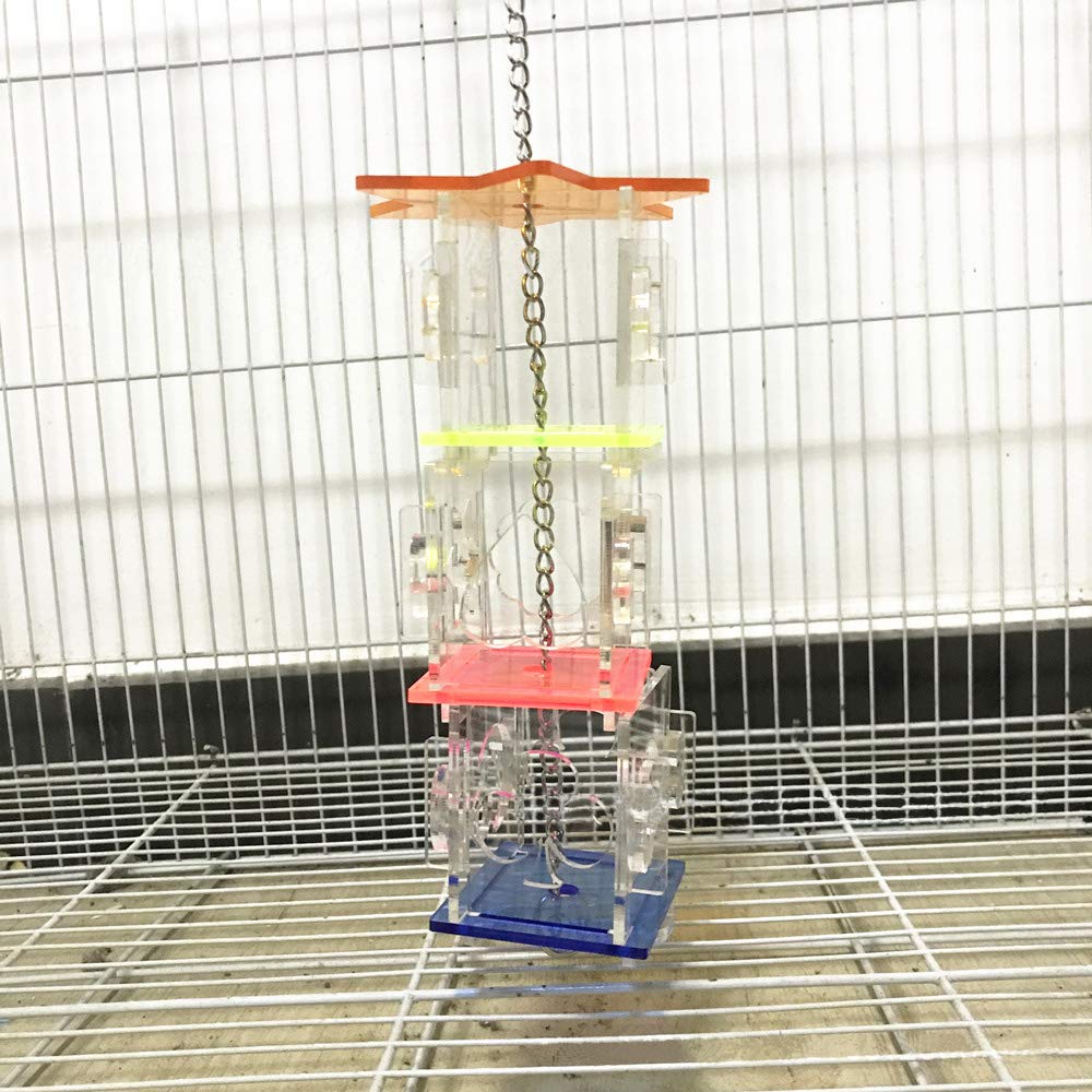 RICEFINE oiseau manipulant la boîte stimulant l'activité mentale et l'exercice