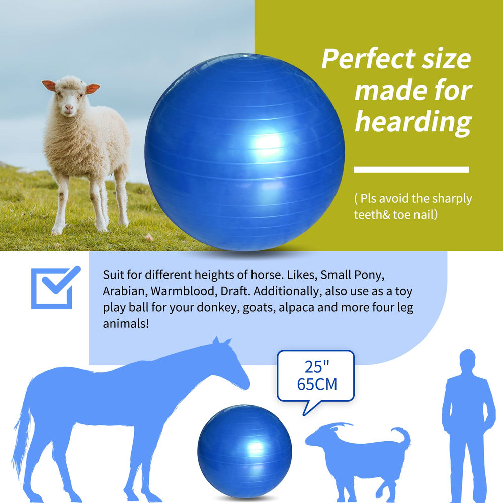 RideFound balle dans le pâturage avec cheval favorisant exercice et stimulation