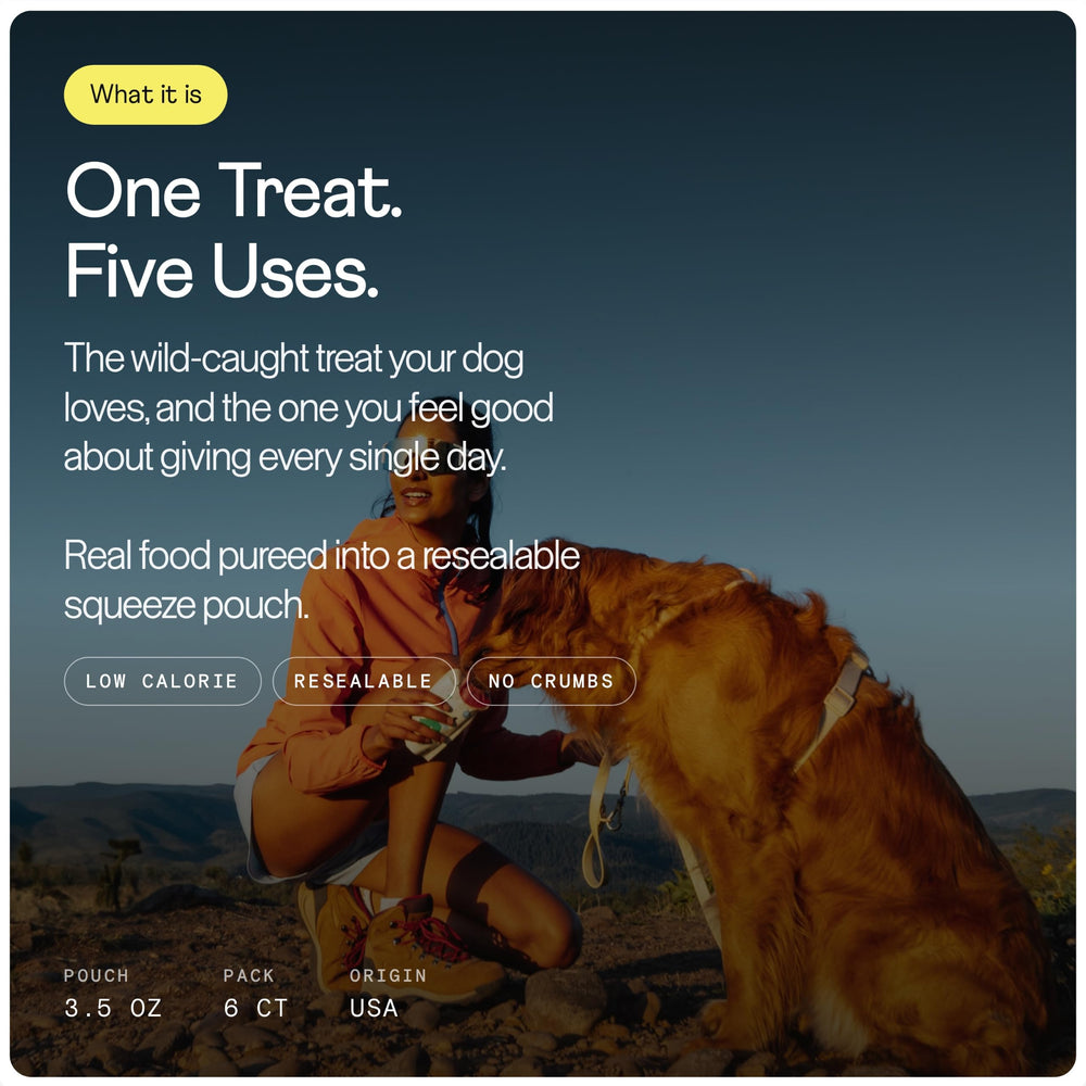 Rigby détail de texture montrant le saumon pressable appétent pour chiens