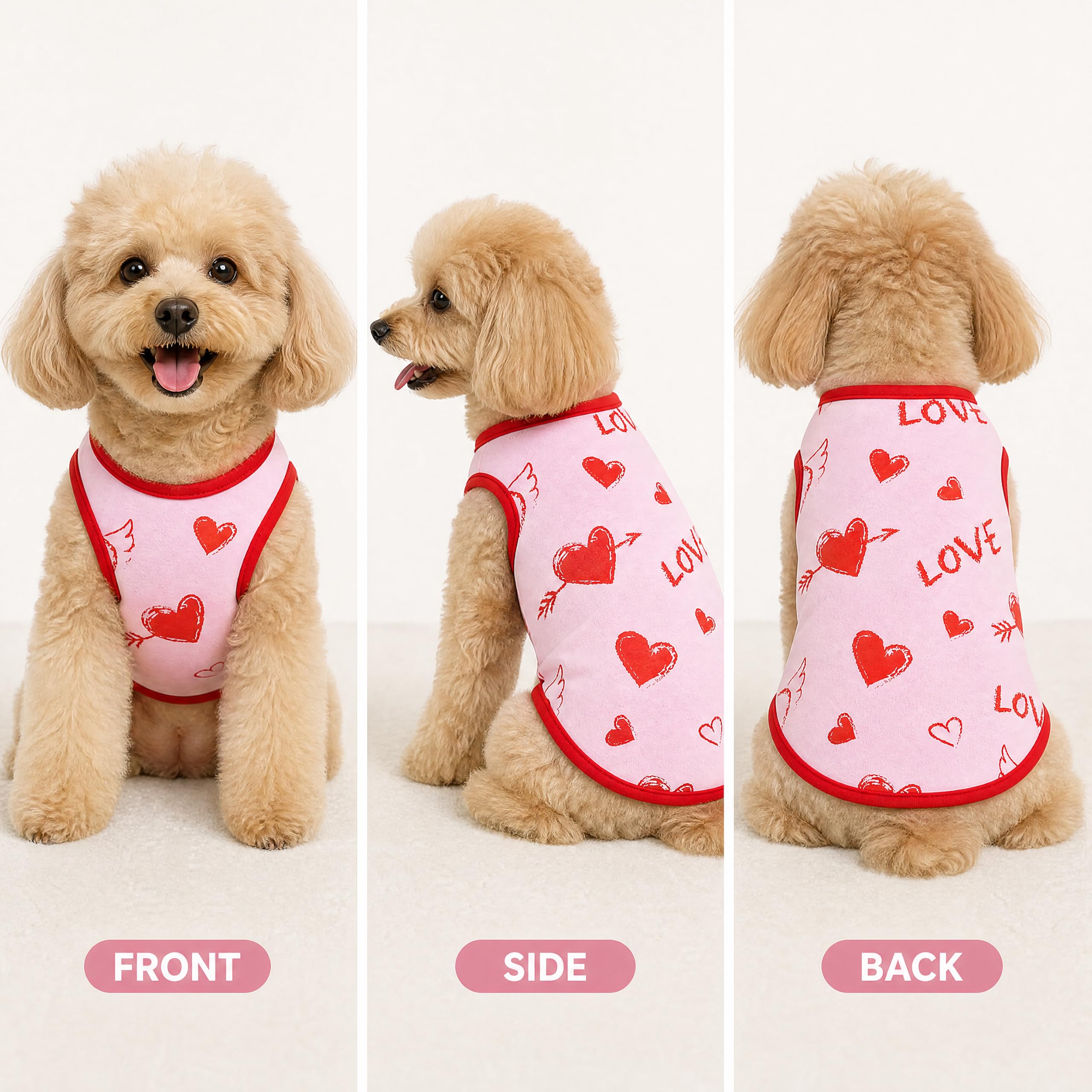 Riklu petit chien portant t-shirt en extérieur pour aisance de mouvement