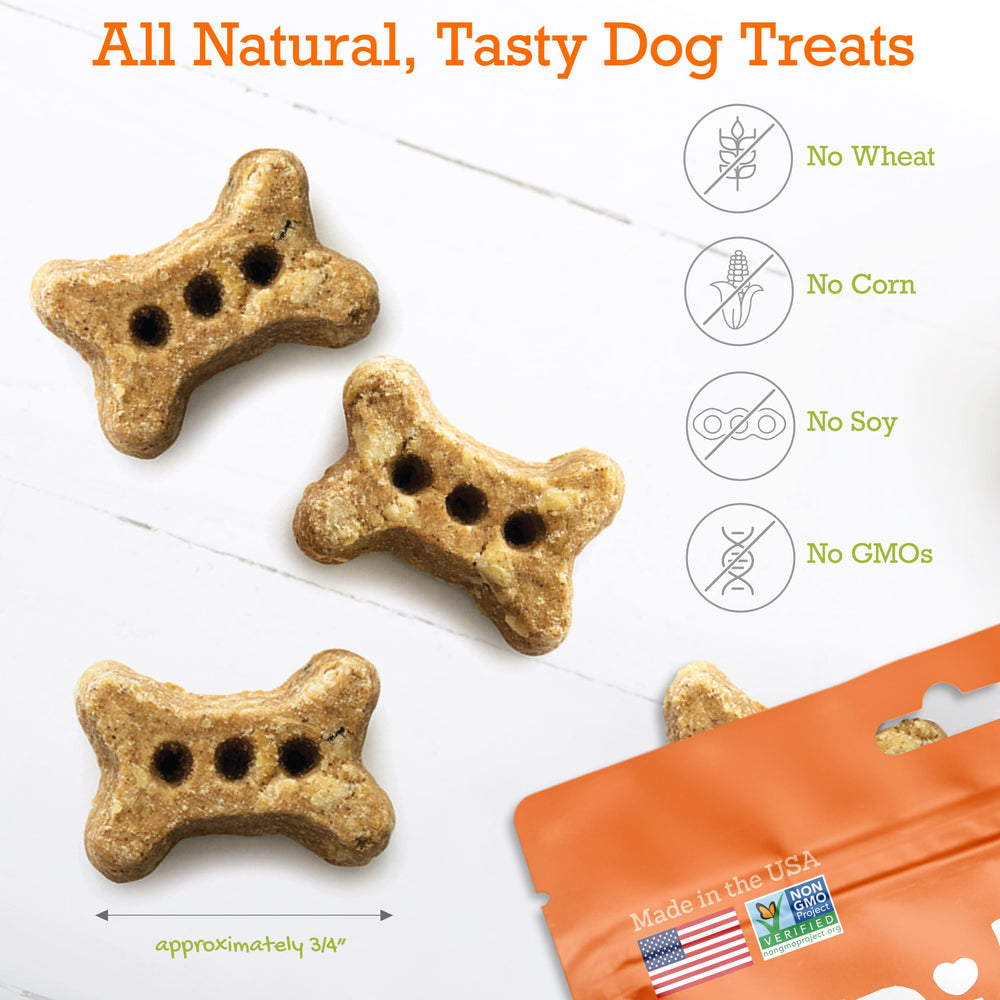 Riley's biscuit tenu main démontrant portion adaptée petits chiens