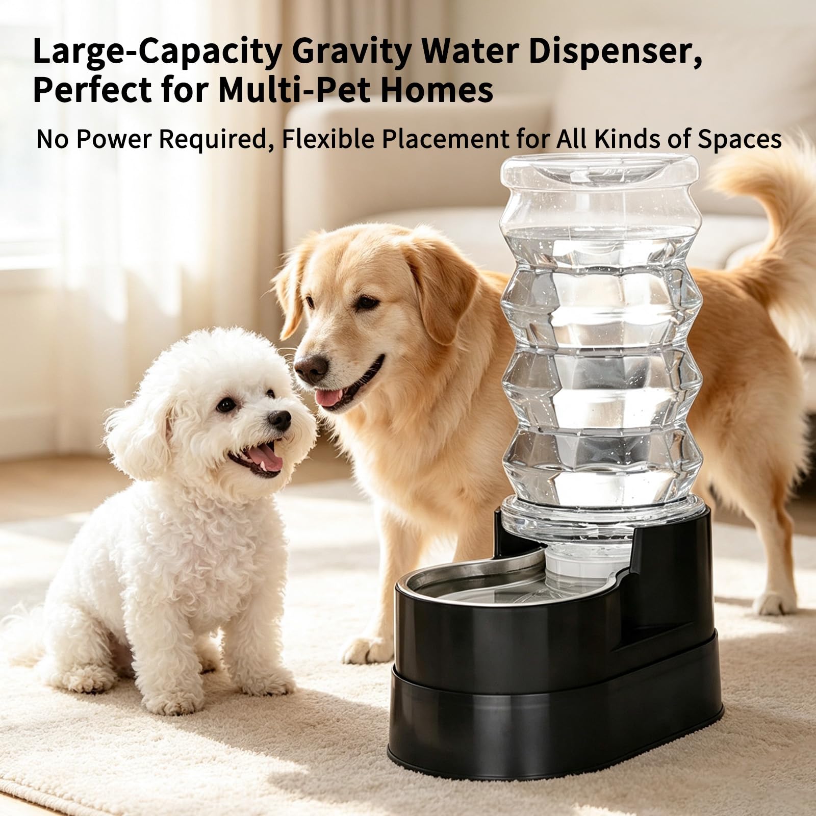 RIZZARI comparaison taille avec chien grand illustrant capacité 8L