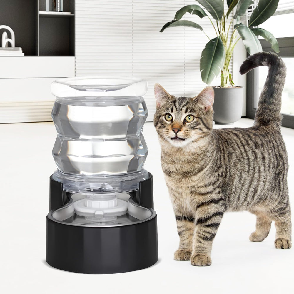 RIZZARI utilisé par un chat illustrant accès continu à l'eau