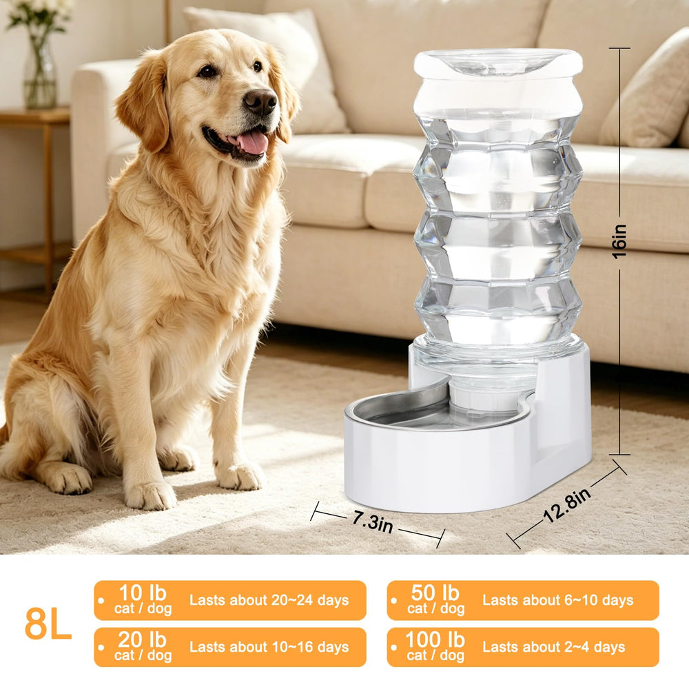 RIZZARI chien buvant au distributeur, maintien d'eau continu pratique