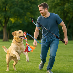 RKGodisGoodLK chien courant après la canne en extérieur pour exercice