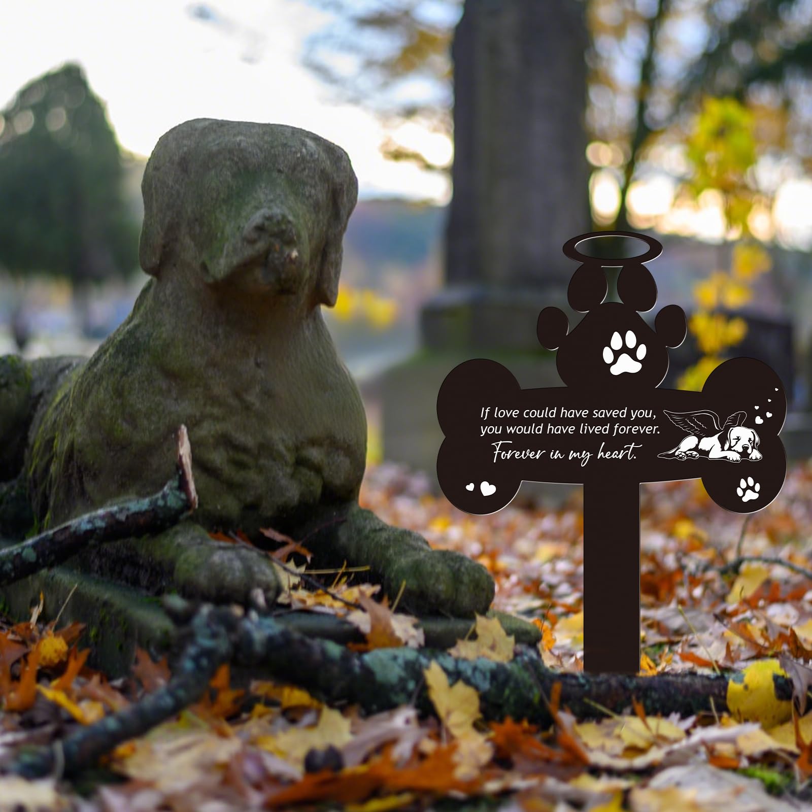 Rngmsi plaque installée dans jardin créant un lieu de mémoire apaisant