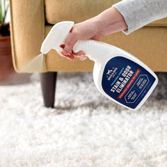 Rocco & Roxie en action sur tapis avantage: enlève taches et odeurs efficacement