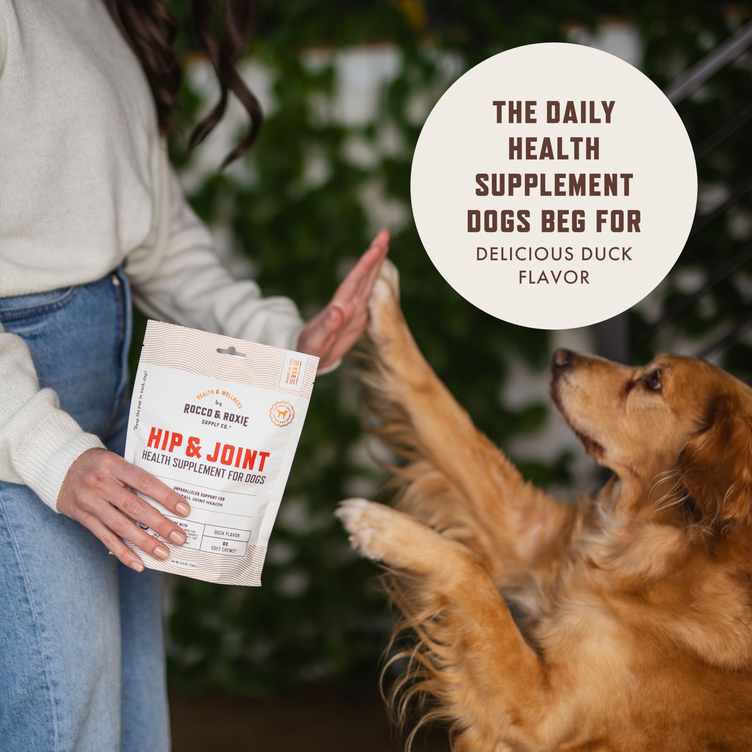 Rocco & Roxie gros plan sur la texture du chew et facilité d'absorption