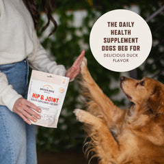 Rocco & Roxie gros plan sur la texture du chew et facilité d'absorption