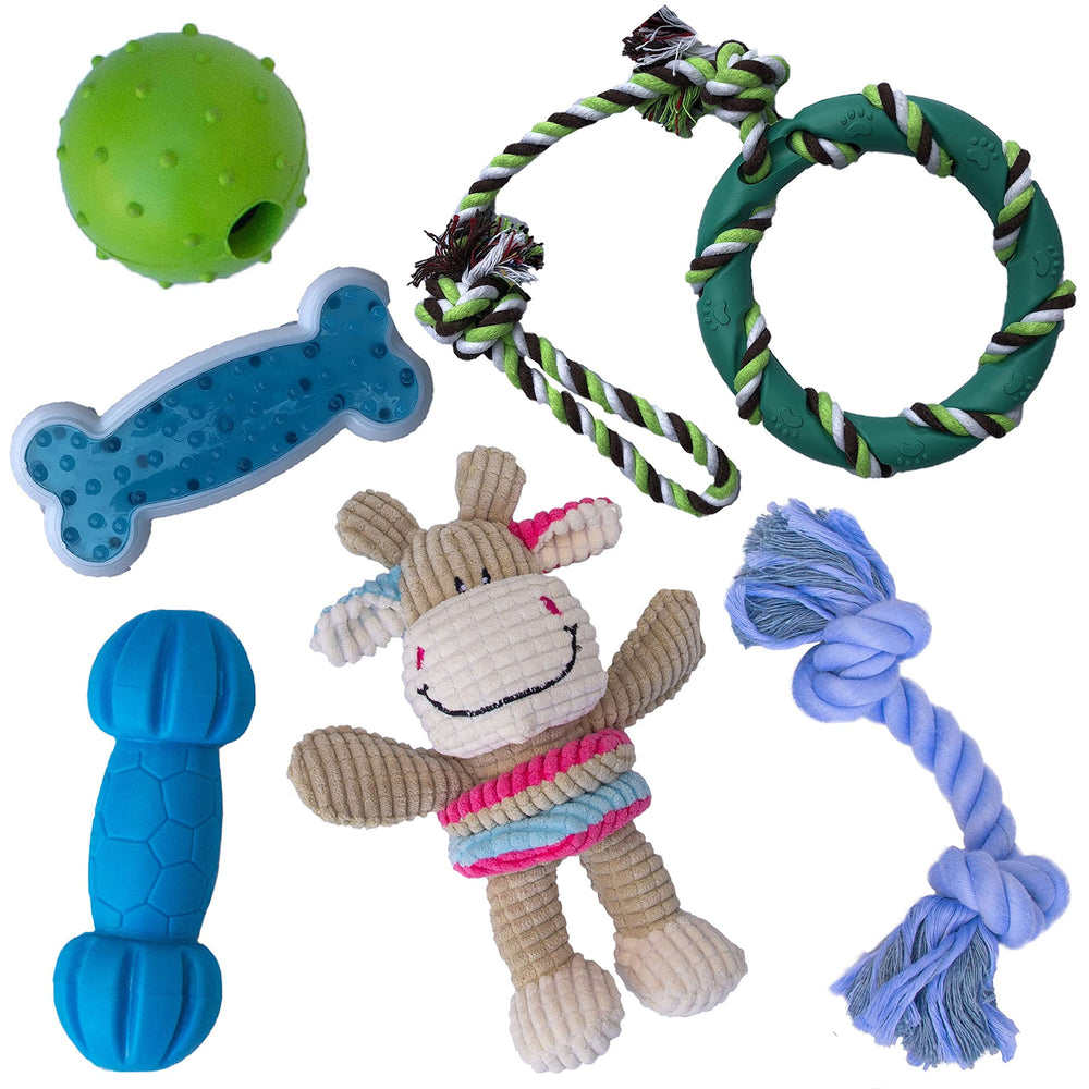 rocket & rex face avant du packaging montrant le lot de jouets et la sécurité