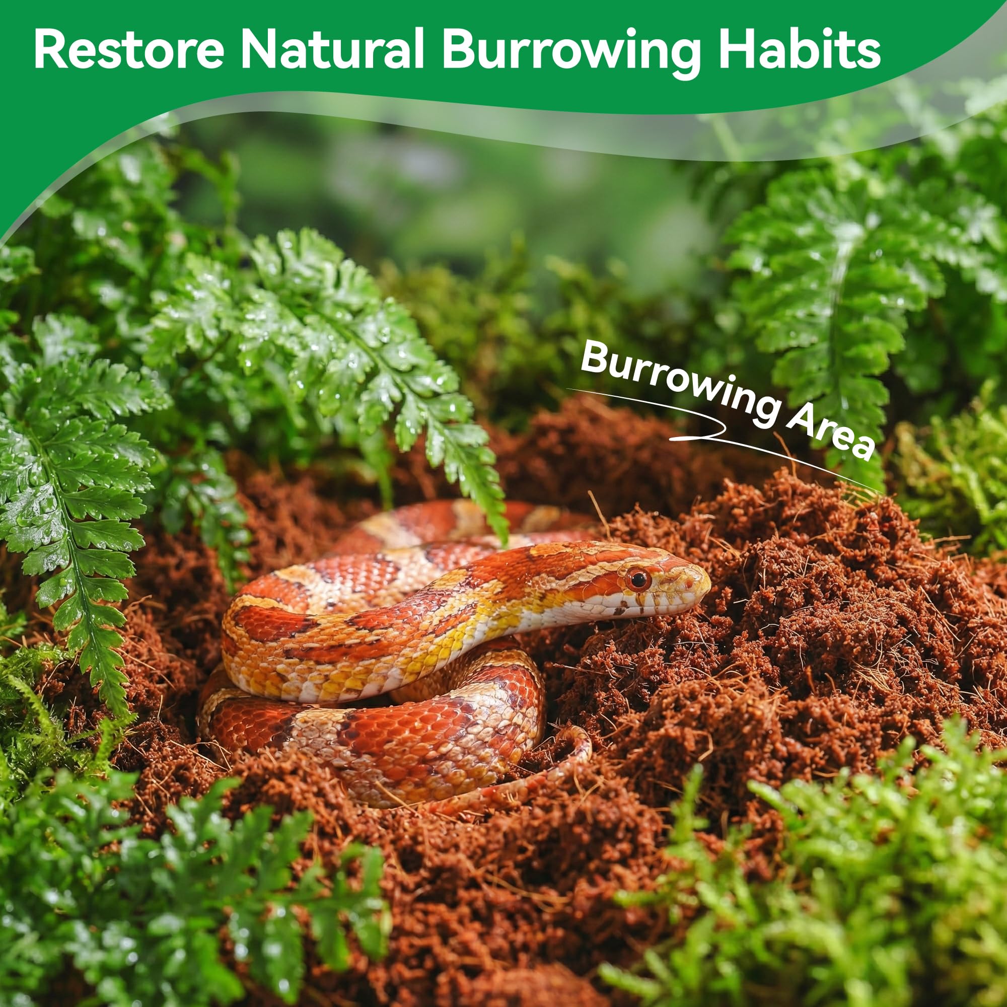 Rodizoo substrat réhydraté détail, sol aéré et prêt à l'emploi