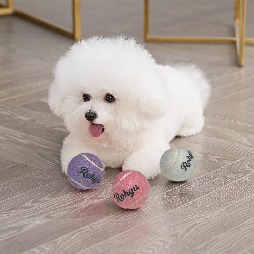 Rohyu mini tennis couleurs assorties faciles à repérer en extérieur