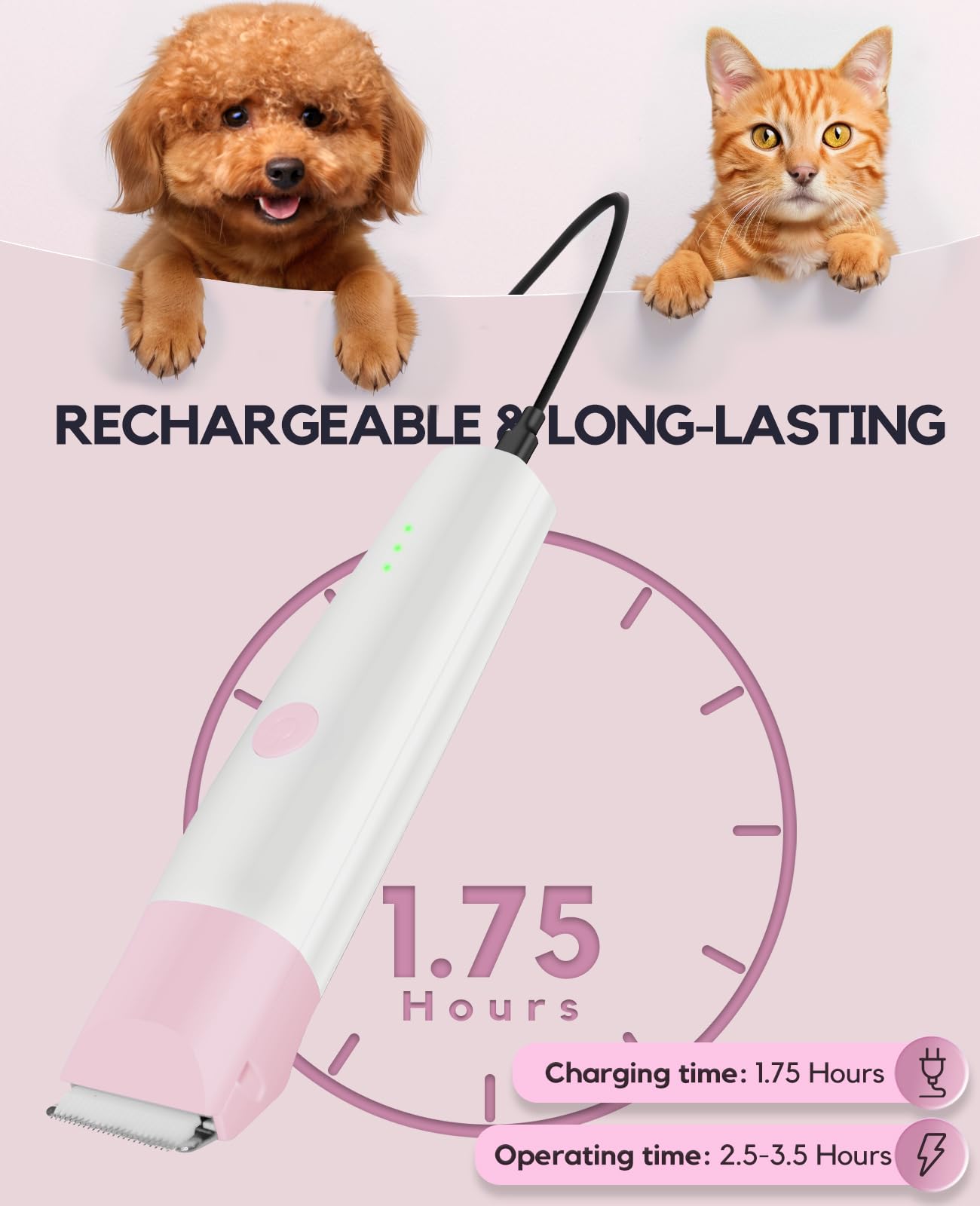 Roiffcly tête de meulage d’ongles détaillée pour sécurité et douceur