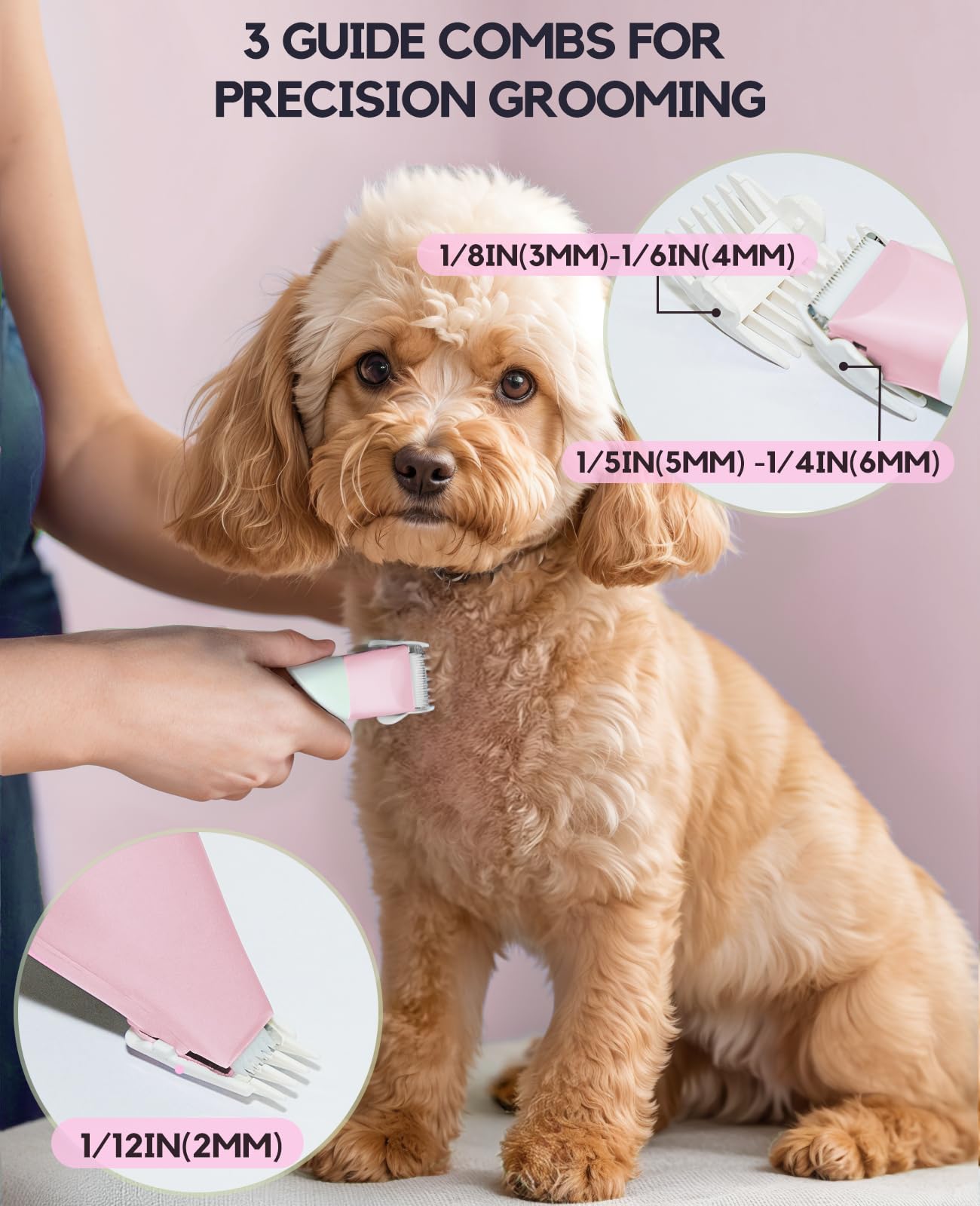 Roiffcly utilisation sur petit chien réduisant stress et bruit